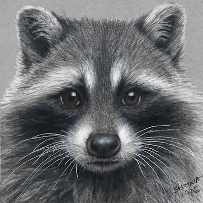 photorealistic colored pencil drawing racoon