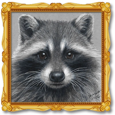 Colored Pencil Drawing of a racoon.